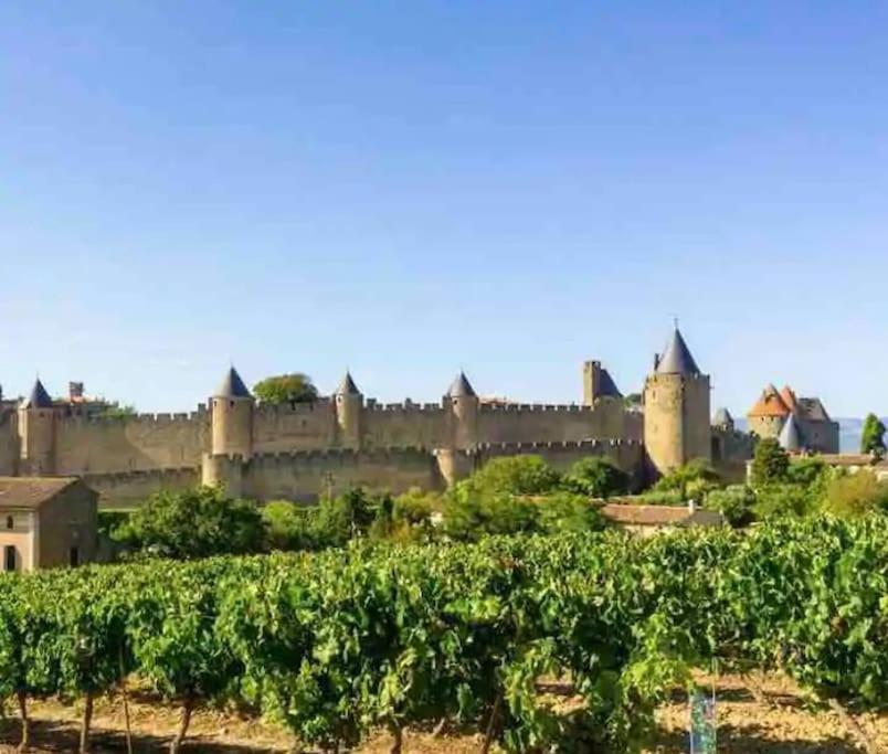 Apartamento T2 Avec Vue Chateau Carcassonne