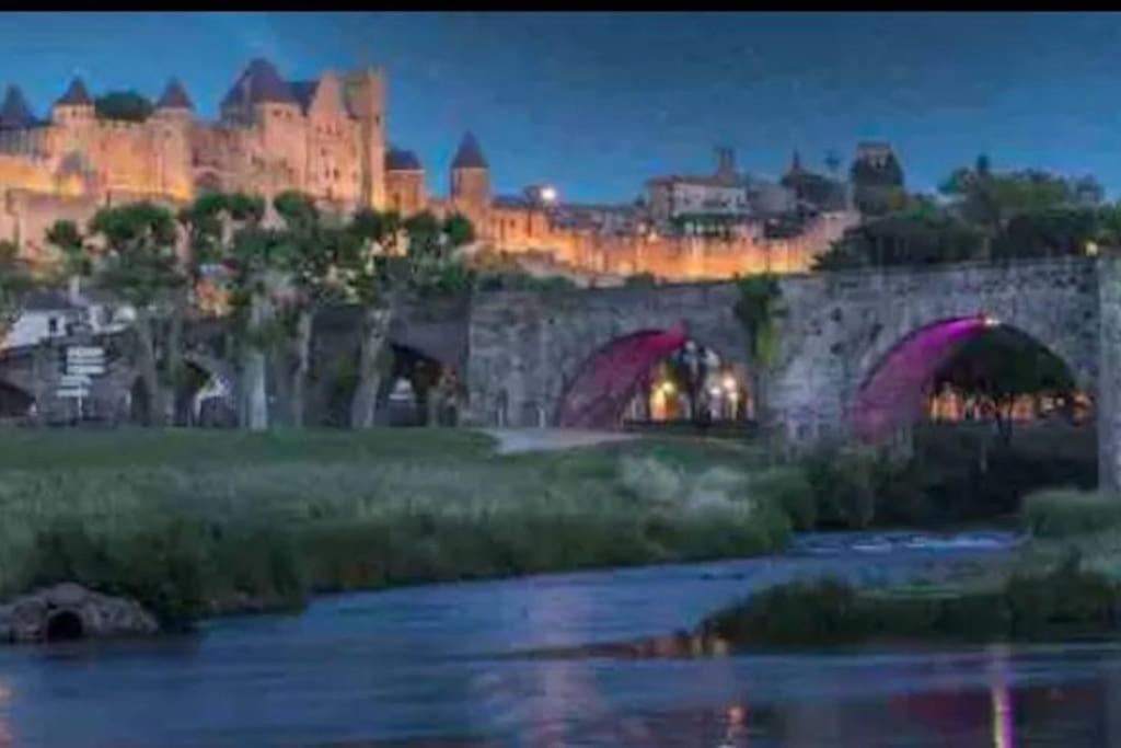 Appartement T2 Avec Vue Chateau Carcassonne
