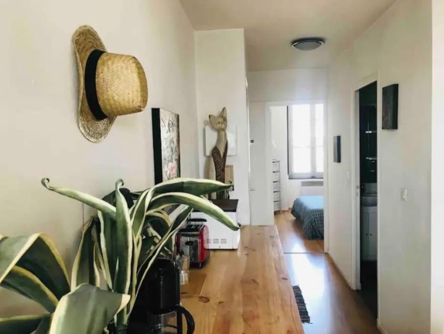 Appartement T2 Avec Vue Chateau Carcassonne